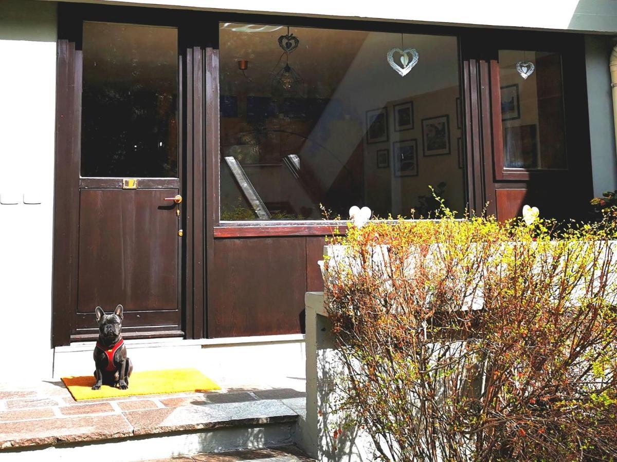 Dapolo - Cosy Appartment In Val Di Fassa Campestrin Exterior photo